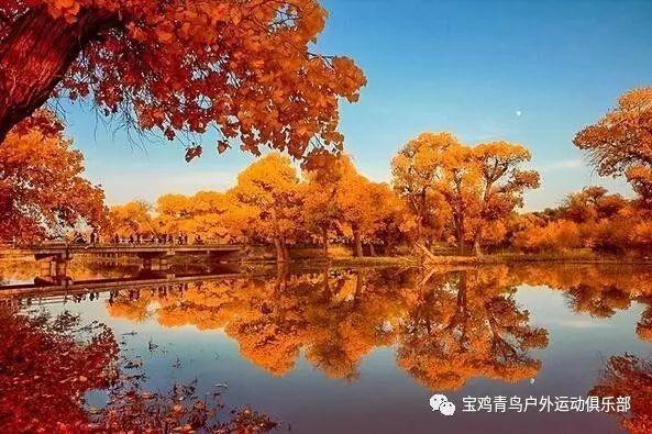 可爱的蜗牛拼图
