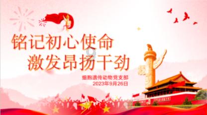 逃离沙漠的遗迹