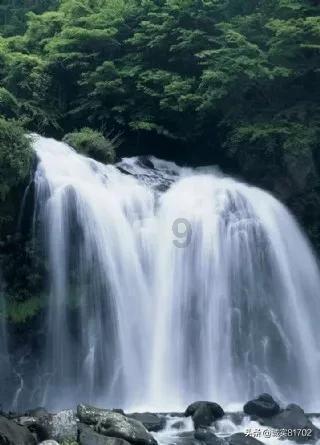 疯狂之冠