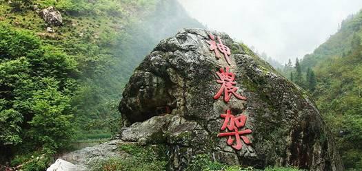 小猫钓鱼游戏龙王版有船