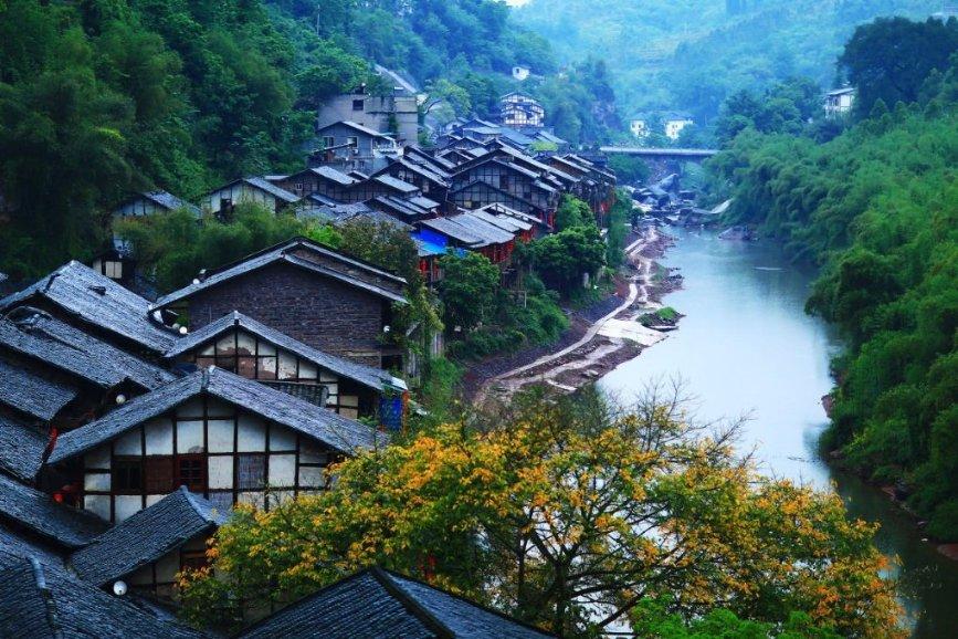 植物大战僵尸3